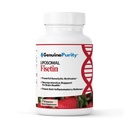 Fisetin 150 mg | Aging Cognitive Support | Pure Fisetin Supplement - Güçlü Servis Boyutu | Gluten Free, Vegan, ABD Made, Non-GMO | 60 Capsules