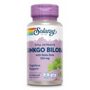 SOLARAY Ginkgo Biloba Extract with Gotu Kola - Ginko Biloba Capsules for Brain Health Support - Vegan, Lab Doğrulanmış, 60 Günlük Garanti - 60 Hizmet, 60 VegCaps (60 VegCaps)