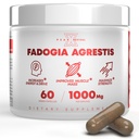 Fadogia Agrestis 1000mg Per Arama - Enerji, Athletic Performans ve Kas Mass'i artırmak için Potent Tür - Tamamlar, ABD'de (60 Capsules)