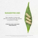 Secrets of the Tribe Thyme 120 Capsules, Made with Vegetable Capsules and Thymus Vulgaris Toni Effect (120 Capsules)