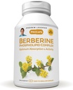 ANDREW LESSMAN Berberine Phospholipid Kompleksi 30 Capsules - Barberry Root Extract. Küçük Easy to Swallow Capsules