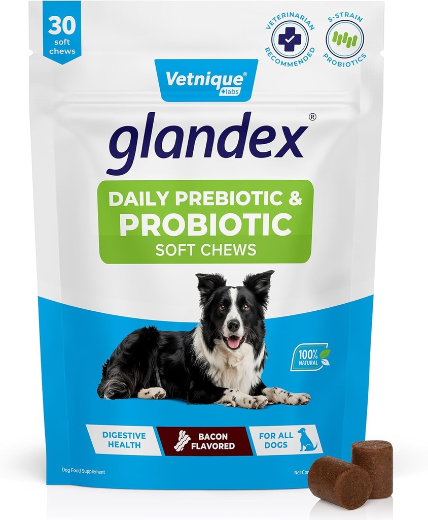 Vetnique Glandex καθημερινά προβιοτικά για σκύλους με πρεβιοτικά για την υποστήριξη της υγείας των ουρών με ένζυμα Fiber και Digestive, Probiotic Chews ή σκόνη (30ct Chews, Bacon Chews)