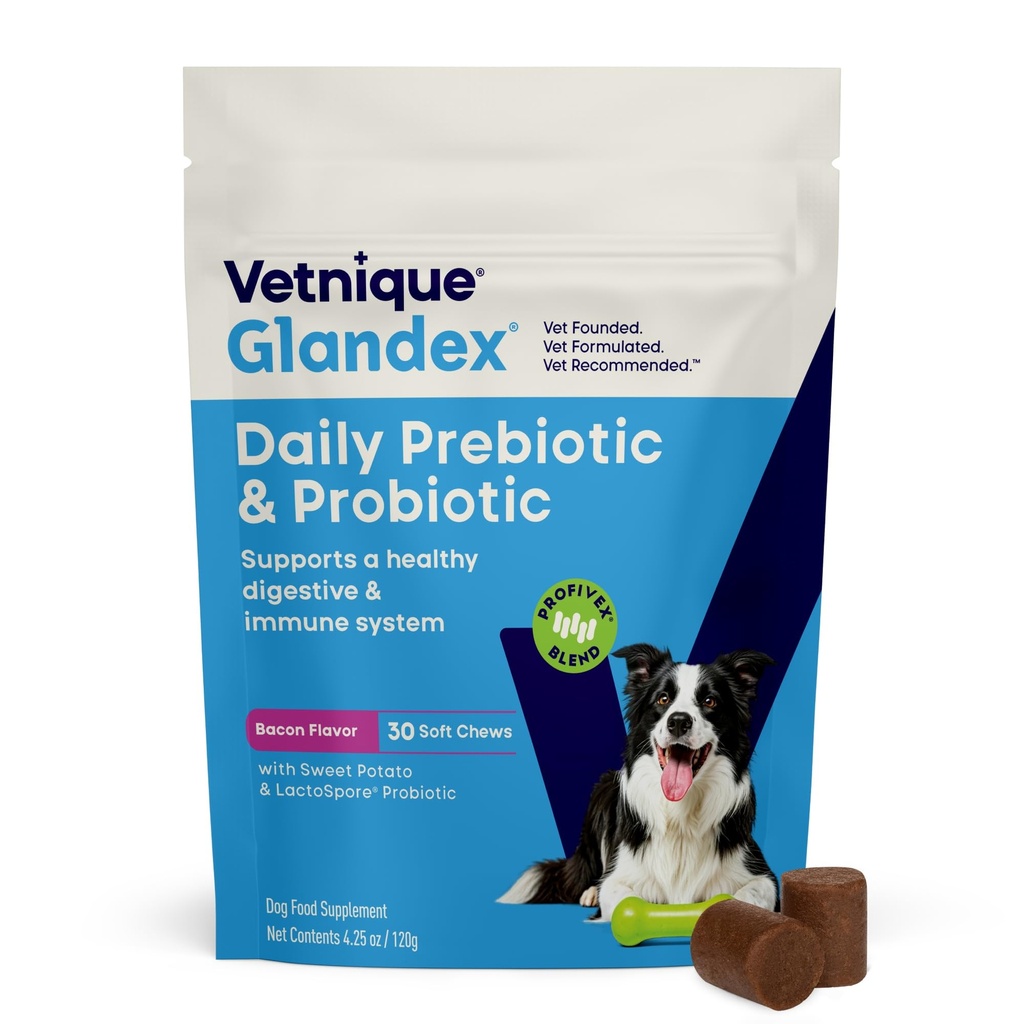 Vetnique Glandex Daily Probiyotiks for Dogs with Prebiyotiks to Support Gut Health with Fiber and Digestive Enzymes, Probiyotik Chews or Tozs (30ct Chews, Bacon Chews)