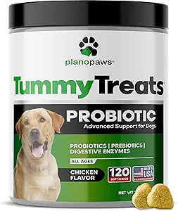 Köpekler için Probiyotikler Dgestive Health - Dog Probiyotiks and Digestive Enzymes - Köpekler için Antivirüs Yardım - Puppy Probiyotik Tummy Tedaviler - 120 Dog Probiyotik Chews