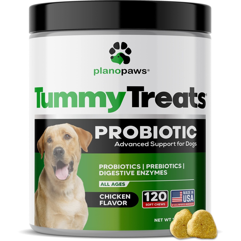 Probiotics for Dogs Digestive Health - Probiotics σκύλου και Digestive Ένζυμα - Αλλεργία Ανακούφιση για σκύλους - Probiotic για σκύλους Gut Υγεία - Puppy Probiotic Tummy Treats - 120 Dog Probiotic Chews