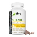 Jiva Botaniks Shilajit Capsules 700 mg - Fulvic Acid ile Shilajit Ekstraksiyon - Erkekler ve Kadınlar için Shilajit Supplement - 90 Vegan Capsules for Daily Wellness - 90 Count (Pack of 1)