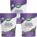 Nature's Way Sambucus Immune Lozenges, çinko + Vitamin C, Black Elderberry Extract, USDA Sertifikalı Organik, Original Berry Flavored, 24 Lozenges (Pazar Mayıs Vary) - 3 Packating