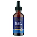 Rx Vitamins Amino B Plex Cat & Dog Supplement - Vitamin B Complex Liquid Plus Amino Acids for Dogs & Cats - Ορεκτικό Αναμνηστικό και Κεραυνοβόλο Βάρος Cat & Dog Vitamins - 2 oz