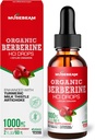 Organik Berberine HCl 1000 mg Liquid Drops - Ceylon Cinnamon Turmeric Milk Butle Artichoke - Erkekler için Yüksek Biyoavailability Supplement - Vegan Sugar Free Gluten Free 2fl. oz (60 ml)