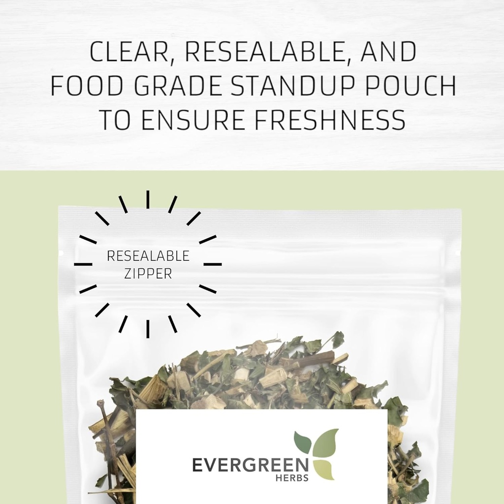 Evergreen Herbs Cuachalalalate Herb (Amphipetyglum Adstringens) – Resealable Stand Up Pouch to Discover Freshness! (Tea Bag)