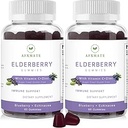 Sambucus Elderberry Gummies, Black Elder Gummy with çinko and Vitamin C for Yetişkinler, Sugar Free Kids Multivitamin Gummies Immune Support* Supplement (2 Pack)