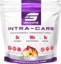 Granite Intra Carb Toz, Meyve Shvor, High-Performance Carbohidrat Mix with Cluster Dextrin, Palatinose, & Dextrose, Supports Energy and Education (20 hizmet)
