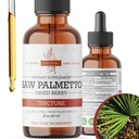 Saw Palmetto Tincture | Premium Alkol-Free Herbal Extract from Saw Palmettoges | Liquid Botanical Supplement | Geleneksel Herbal Formula | ABD'de Yapılacak - 2 oz (60 ml)