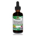 Nature's Answer Enchinacea & Goldseal | Sağlıklı Bir Immune Sistemi | Süper Hafifletme | Alkol Özgür, Gluten-Free, Vegan & Kosher Sertifikalı 2oz