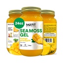 MAX FIT Sea Moss Gel Raw (12 Γεύσεις) 24oz Wildсrafted Gold Sea Moss Gel από την Αγία Λουκία 