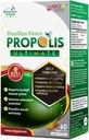 LABO Nutrition Brazilian Green Propolis Ultimate - Περιέχει >7% ή 28mg ανά Σερβίρισμα Artepillin C & >5% Flavonoids, για την υποστήριξη του ανοσοποιητικού και του εγκεφάλου, φυσικό, υψηλό πυκνό & Premium, 60 Veg κάψουλες