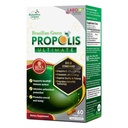 LABO Nutrition Brazilian Green Propolis Ultimate - Περιέχει >7% ή 28mg ανά Σερβίρισμα Artepillin C & >5% Flavonoids, για την υποστήριξη του ανοσοποιητικού και του εγκεφάλου, φυσικό, υψηλό πυκνό & Premium, 60 Veg κάψουλες