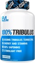 Erkekler için Pure Tribulusris'i korkutmak - Performansı testosteron Kovulus Terrestris Supplement ile 90 Saponins - Plant Based Stamina Strength and Energy Pills for Men