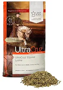 UltraCruz® Equine Lysine (Καθαρά), 25 lb