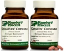 Standart Süreç Çocuk Wellness Chewable Sche - Congaplex & Catalyn Supplement Kit - Immune & Hücre Fonksiyonu Desteği Supplements - Genel Sağlık Için Beslenme Supplements