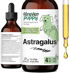 Forever Puppy Astragalus Root Drops for Dogs - Astragalus Membranaceus Extract for Dogs' Immune Support - Βότανο Pet Υγρά Συμπληρώματα για Ανοσία & Χαρωπή Φροντίδα Κατοικιδίων - 4 oz