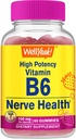 WellEvet Yüksek Potency B6 Gummies - Nerve Health, Cognitive Function, Mood Regulation, Immune Support ve Cardiovascular Health - Vegan, Non-GMO, Gluten-Free - 60 Count