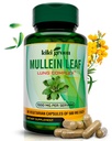 KIKI Green Mullein Leaf Extract Capsules - Vegan Herbal Supplement - Lung Cleanse, Support, Better Respiratory, Immune Function - 1000 mg 45 Hizmet - 90 Count