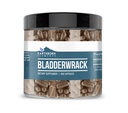 Earthborn Elements Bladderwrack 200 Capsules, Pure & Undiled, No Wordss