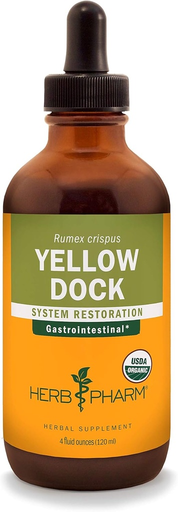 Herb Pharm Yellow Dock Liquid Extract for Digestive System Support - 4 Ounce