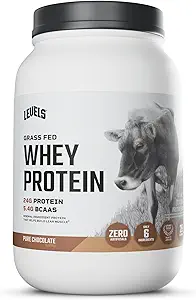Seviyeler Grass Fed Whey Protein Toz, Yapay Değil, 24G Protein, Saf Çikolata, 2LB