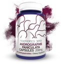 Andrographis panulata Capsules | 200 mg | 60 Kont | 50% Andrographolides | Destekler Immune Function | Supports Cellular Function