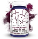 Andrographis panulata Capsules | 200 mg | 60 Kont | 50% Andrographolides | Destekler Immune Function | Supports Cellular Function