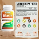 En iyi Naturals Niacin 500 mg 250 Tablet - Ayrıca Called Vitamin B3 (250 Kont)