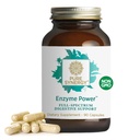 PURE SYNERGY Enzyme Power 