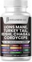 Lions Mane Supplement Cognitive Support, Immune Health with Turkey Tail 20in1 Mushroom Reishi Cordyceps Chaga with Marshm Root 60 Root 60
