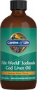 Κήπος της ζωής Olde World Ισλανδίας Cod Liquid Oil Liquid - Λεμονέλαιο άρωμα - 1.000mg Ωμέγα 3 ιχθυέλαιο, λιπαρά οξέα, EPA, DHA, βιταμίνη D & A, Συμπληρώματα CLO για την υγεία της εστίας, 47 υπηρεσίες