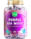 MAJU'nun Güçlü Mor Deniz Moss Capsules (60 ct), Ekstra-Strength Mor Minerals, Chondrus Crispus, Güçlü Than Gel, Organik İrlandalı Seamoss Capsule ile kıyasla, Wild Harvested Toz Pills Capsule, Wild Harvested Toz Pills