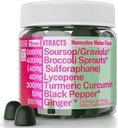 Soursop Graviola Curcumin Lycopene Broccoli Sprouts Sulforaphane Extract Gummies with Turmeric Curcumin Ginger Black Pepper, Sour Sop Guyabano Leaf Supplement, Chew Chewable Pills Capsules Supplements
