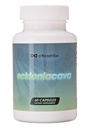 Ecklonia Cava Ekstraksiyon -% 99 Safol - Günlük Hizmet Için 320 mg, 60 Capsules
