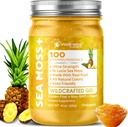 WELLNESS LABSRX Irish Sea Moss Gel Raw - Wildcrafted Superfood Seamoss Gel - Pineapple Flavor, Vitamin and Mineral-Rich from Pristine Caribbean Waters, Immune and Digestive Health Support - 10 oz.