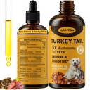 Türkiye Immune & Digestive, Ortak, Enerji, 5X Mushrooms for Pet Drop with Turmeric & Probiyotik - Vet Formula, 90 ML/3FL.oz