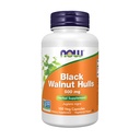 Şimdi Gıdalar Tamamlıyor, Black Walnut Hulls (Juglans nigra) 500 mg, Herbal Supplement, 100 Veg Capsules