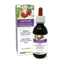 Naturalma Hawthorn (Crataegus oxyacantha) Leaf ve Çiçek Alkol Özgür Tincture - 4 fl oz Sıvı Ekstraksiyon - Herbal Supplement - Vegan