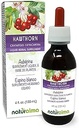 Naturalma Hawthorn (Crataegus oxyacantha) Leaf ve Çiçek Alkol Özgür Tincture - 4 fl oz Sıvı Ekstraksiyon - Herbal Supplement - Vegan