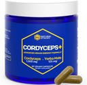 Cordyceps Mushroom Κάψουλες - 1000mg Cordyceps Extract & 125mg Yerba Mate Extract - 100% Fruiting Body Mushroom Supplement - Υποστηρίζει την εγκεφαλική ενέργεια & Γνωστική απόδοση - 60 Yerba Mate κάψουλες