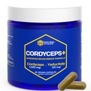 Cordyceps Mushroom Capsules - 1000 mg Cordyceps Extract & 125mg Yerba Mate Ekstraksiyon - 100 Meyveli Vücut Mushroom Supplement - Destekler Beyin Enerji & Bilişsel Performans - 60 Yerba Mate Capsules