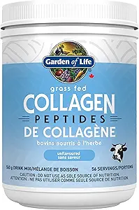 GARDEN OF LIFE Grass Fed Collagen,, 560 GR