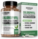 Benevolent Nourishment Chlorophyll Supplement, Detox & Immune Support, Internal Deodorizer, Capsules