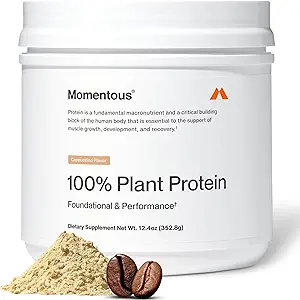 Στιγμιαία Vegan Protein Powder - 20 g Πρωτεΐνη με βάση το φυτό - NSF Πιστοποιημένη για Αθλητισμό - Χωρίς γλουτένη - Μη ΓΤΟ - 22 Μερίδες για Απαραίτητη Καθημερινή Χρήση - Σοκολάτα