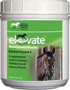 Kentucky Performansı Atlar için 044097 Elevate Bakım Toz Supplement, 2 lb
